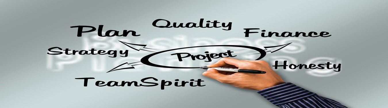 Project Management Consultant